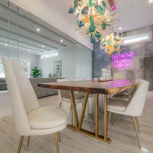 Load image into Gallery viewer, Westshore | South Tampa